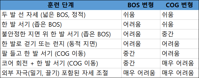 감각 재가중이란? 균형 잡는 뇌의 전략과 실전 훈련법