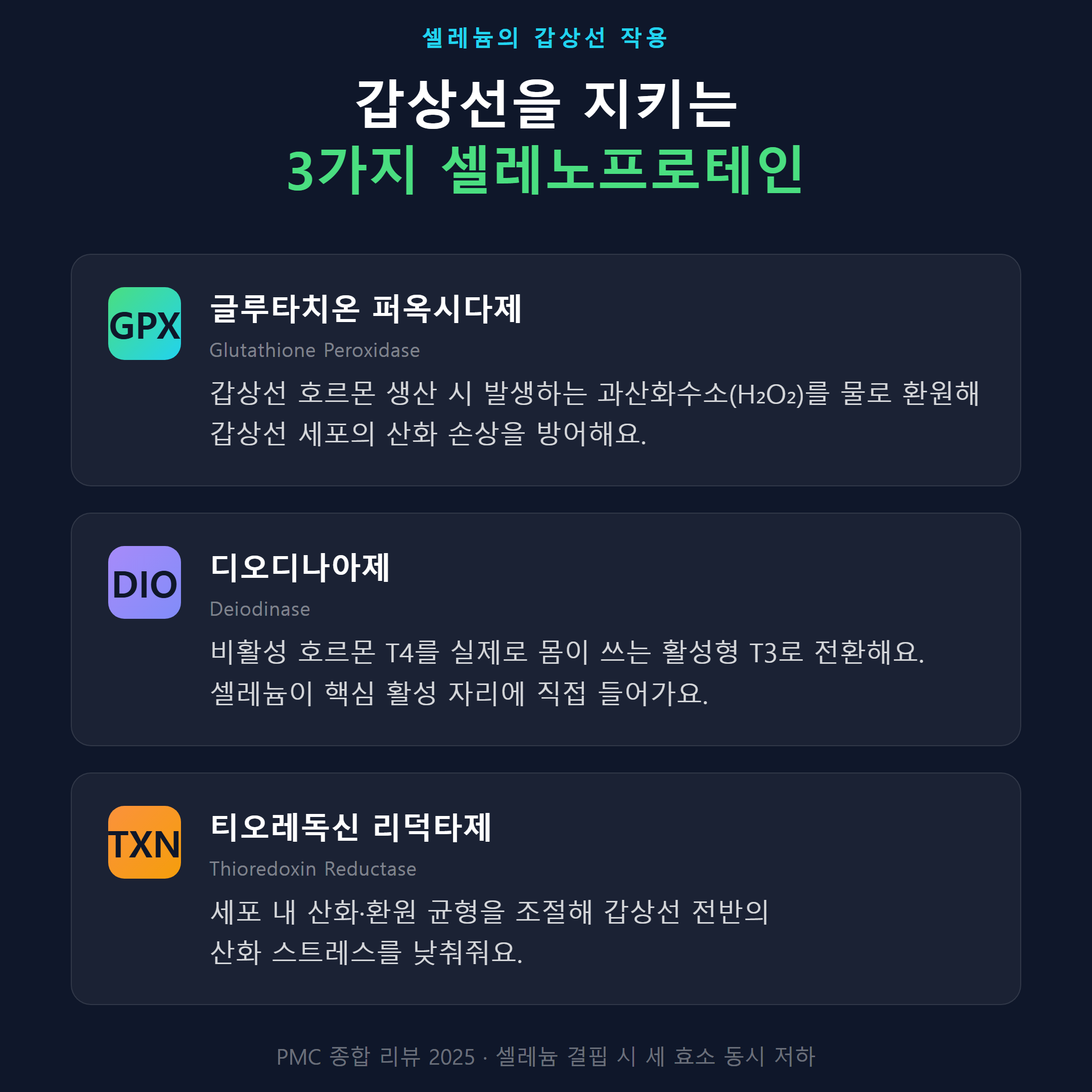 셀레늄이 갑상선을 보호하는 3가지 셀레노프로테인(GPX&middot;DIO&middot;TXNRD) 작용 다이어그램