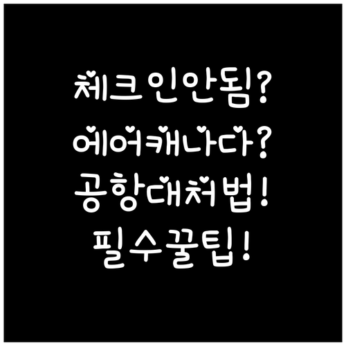 에어캐나다 온라인 체크인이 안 될 때..