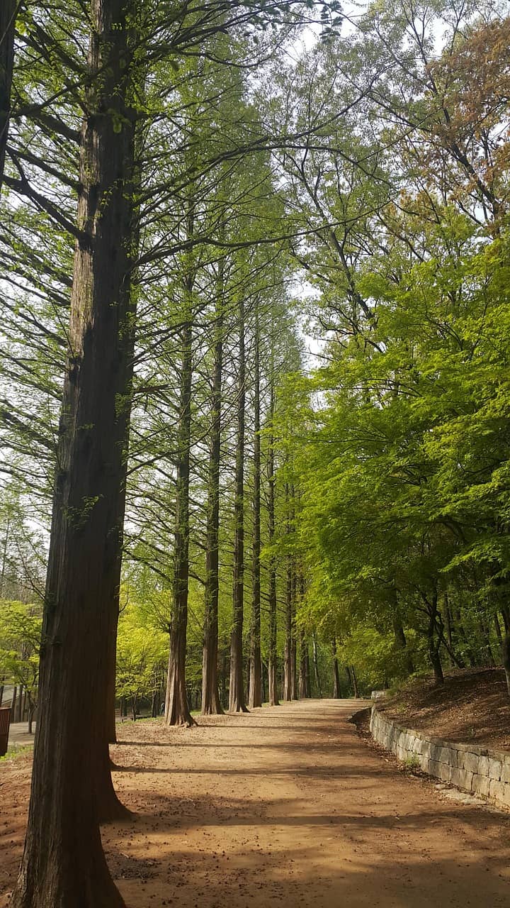 [디지털 미니멀리즘] 화면 밝기 최적화가 정신 피로도에 주는 장기적 효과