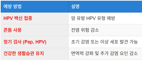 HPV 감염은 어떻게 예방할 수 있나요?