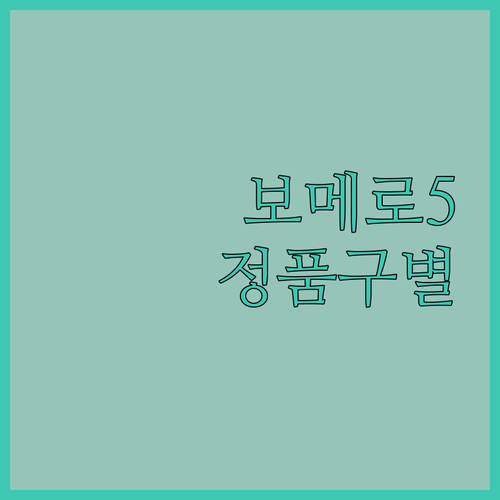 나이키 줌 보메로 5, 짝퉁 논란?!..