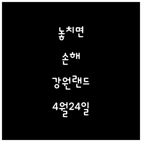 2026년 강원랜드 배당금 지급일 4..