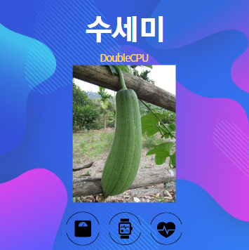 수세미 알아보기