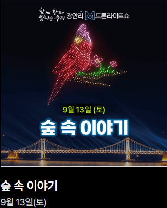 광안리 드론쇼