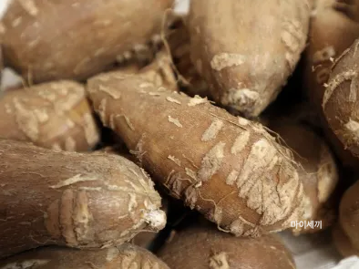 감자와 아피오스 차이