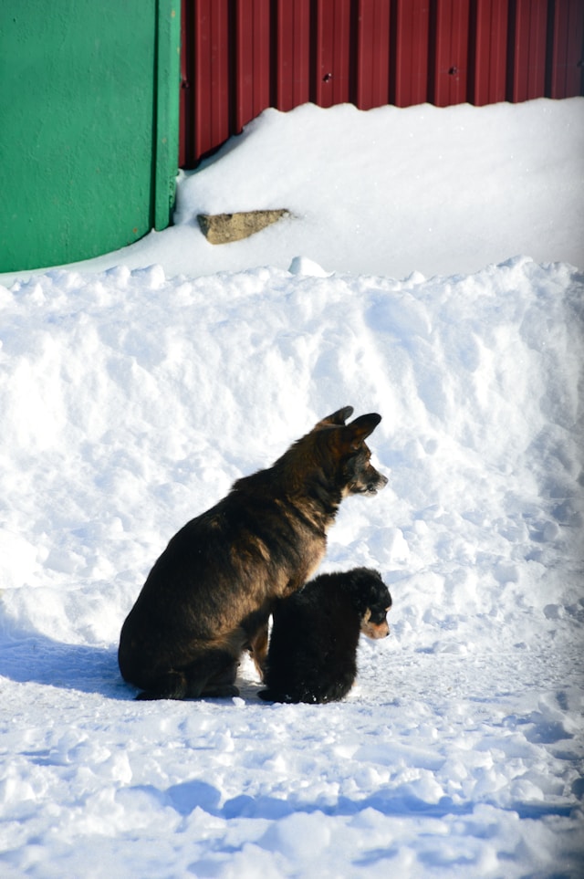 대설특보 출근길&amp;#44; 이것만 알면 안전하게!