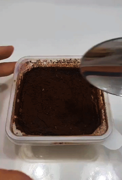 피치플라워