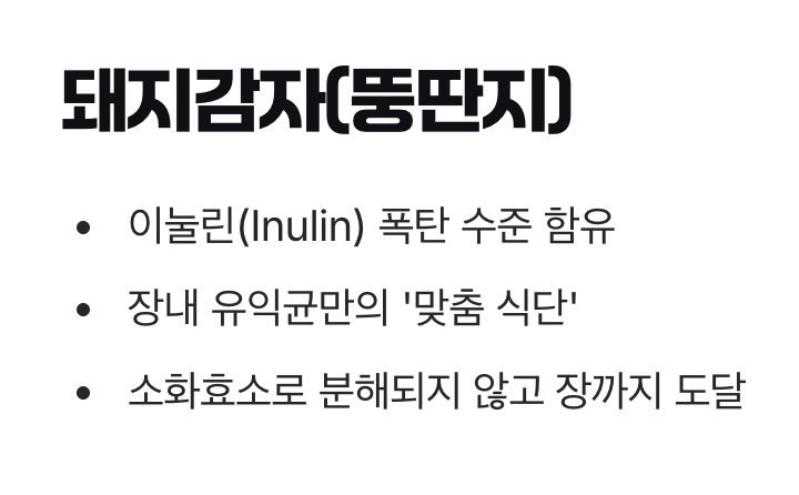 최고의 프리바이오틱스 공급원, '돼지감자(뚱딴지)'