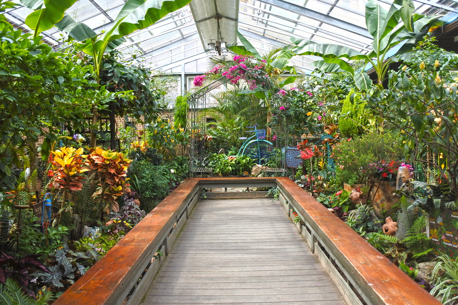 평창 가볼만한곳