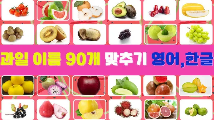 과일 이름 초성 퀴즈 모든 과일이름 총정리 자료집_5