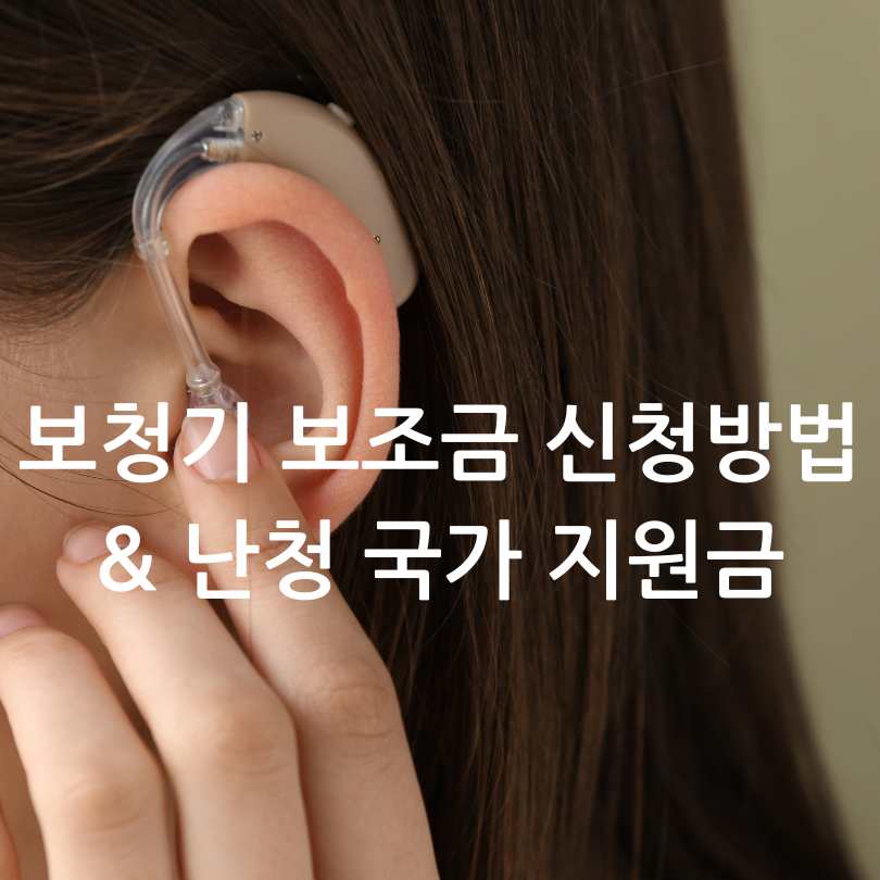 보청기 국가 보조금