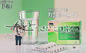 치센 효과 가격