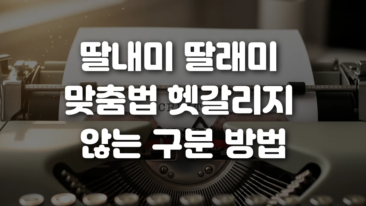 딸내미 딸래미 맞춤법 헷갈리지 않는 구분 방법