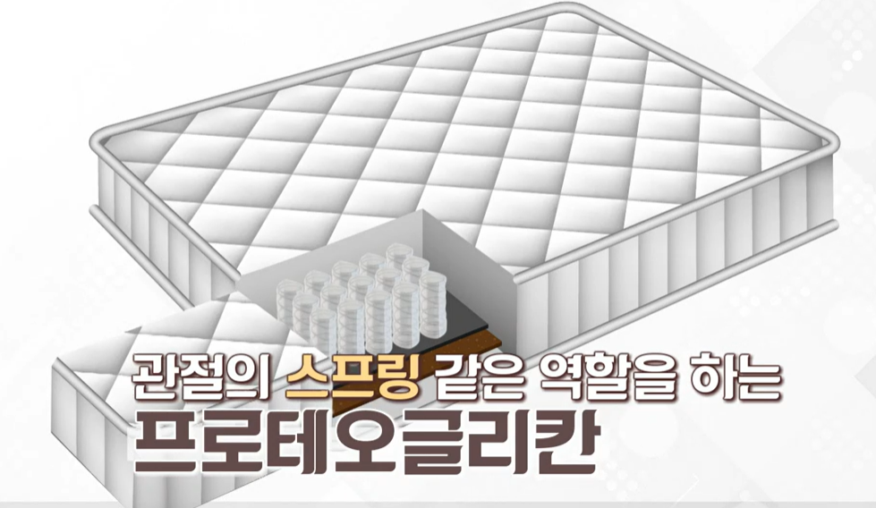 프로테오글리칸 효능