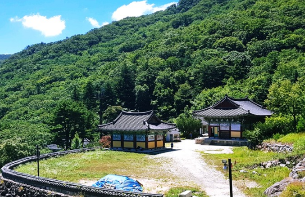산림으로 이루어져 있는 무주의 건물