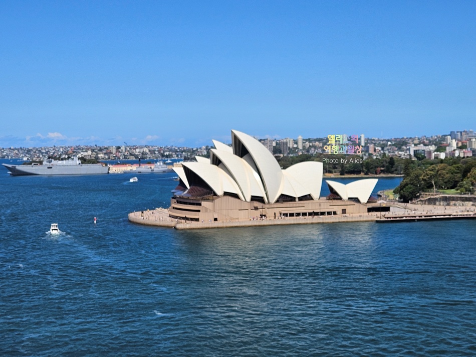 호주 시드니 사막 포트스테판 투어 솔직후기 가격 코스 야생 돌고래 크루즈