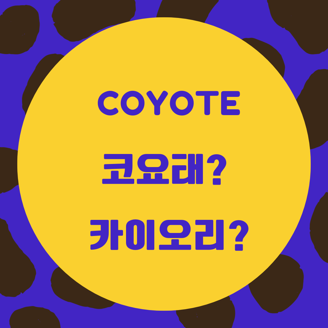 한국인이 자주 실수하는 영어 발음-coyote