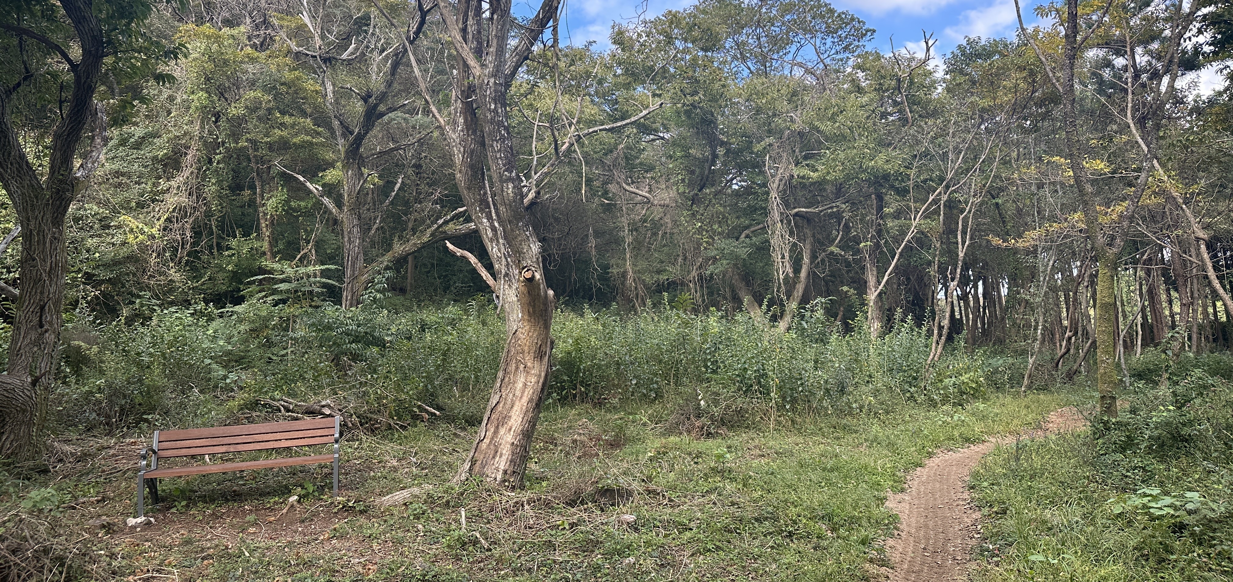 봉개동 민오름 산책로