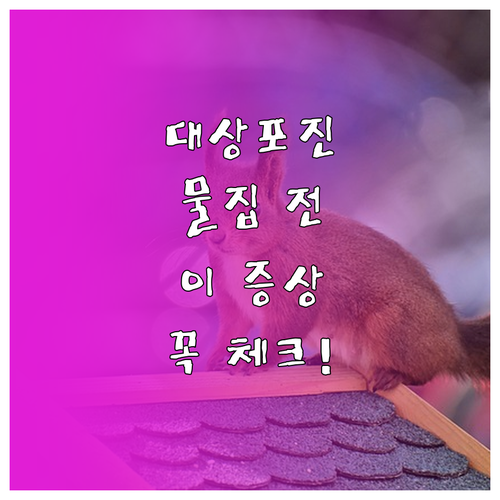 대상포진 물집 전 단계 증상과 치료 ..