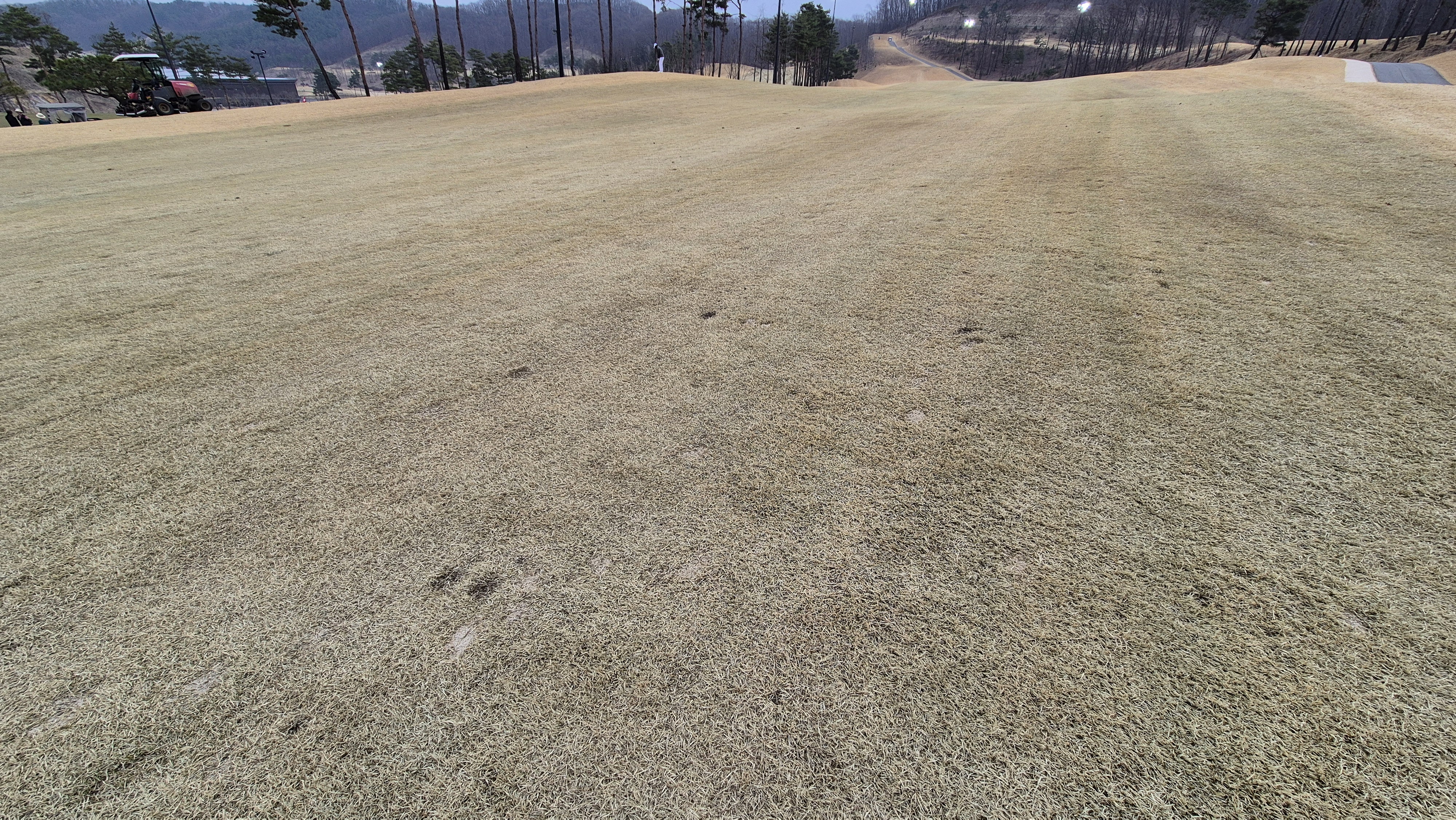 세현cc 코스 난이도