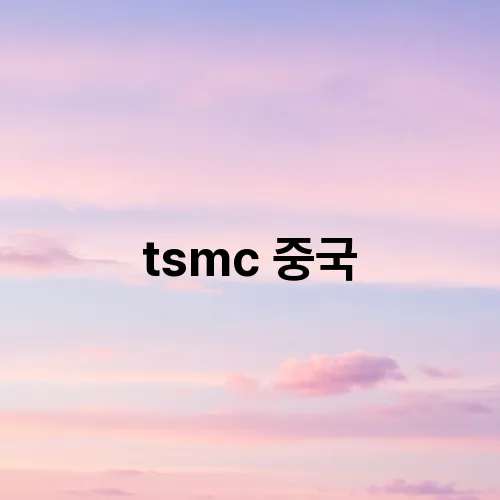 tsmc 중국