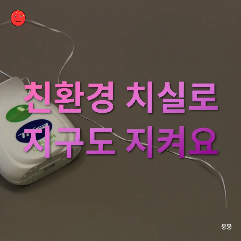 친환경 치실_2