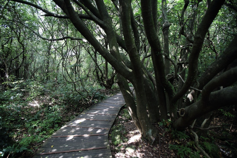 자연과 함께하는 국내 힐링 여행지 Top 10