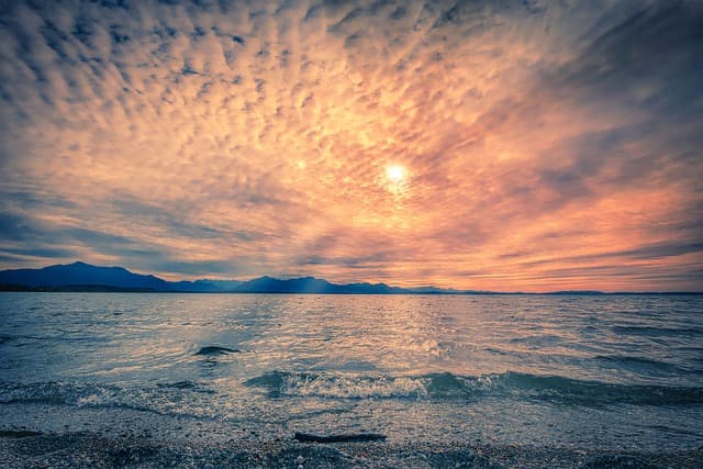 경북 안동 간고등어의 전통 염장 방식과 맛