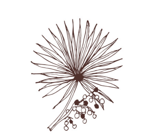 남성 전립선 건강기능식품 &amp;#39;비아노스&amp;#39; 효능&amp;#44; 가격