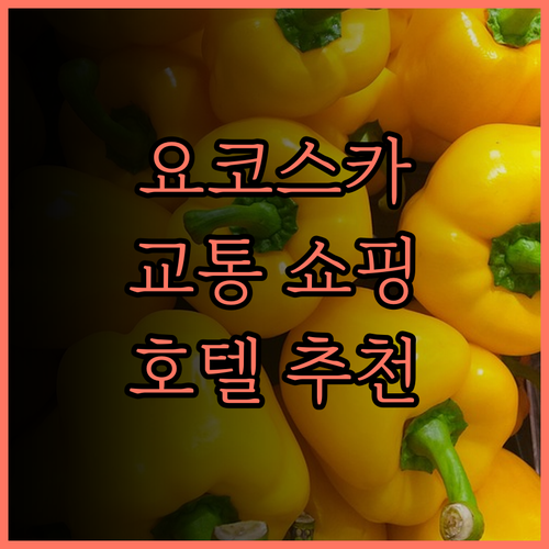 요코스카 센트럴 호텔 요코스카.. 교