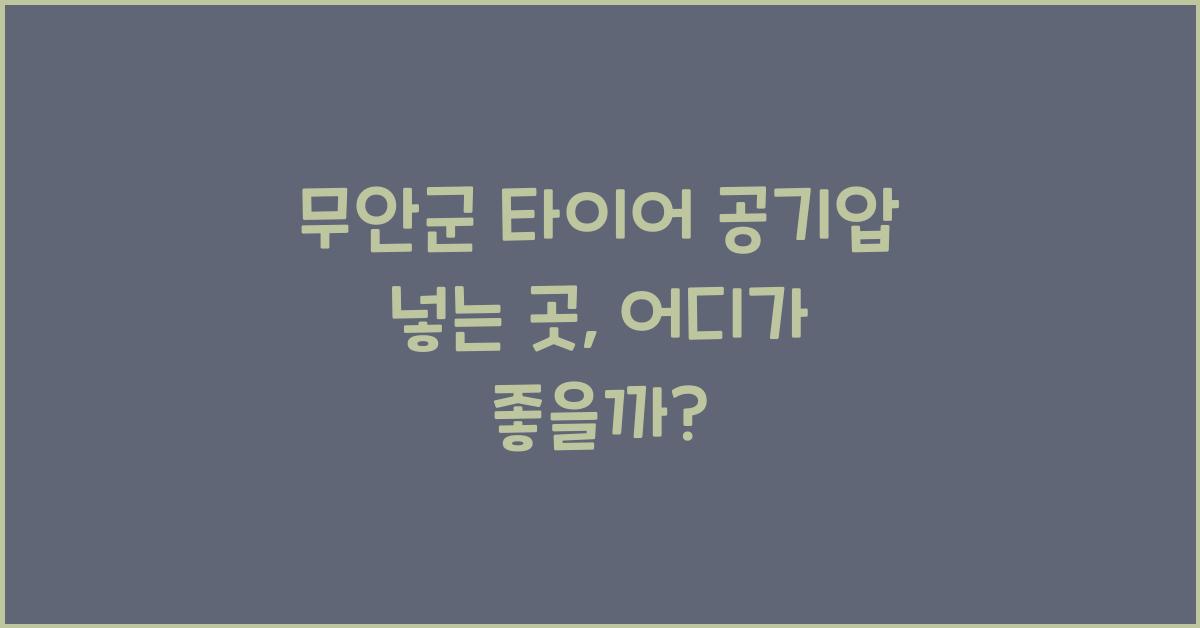 무안군 타이어 공기압 넣는 곳 