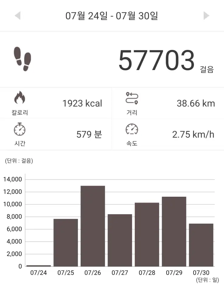 7월24일 ~ 7월30일 걸음수