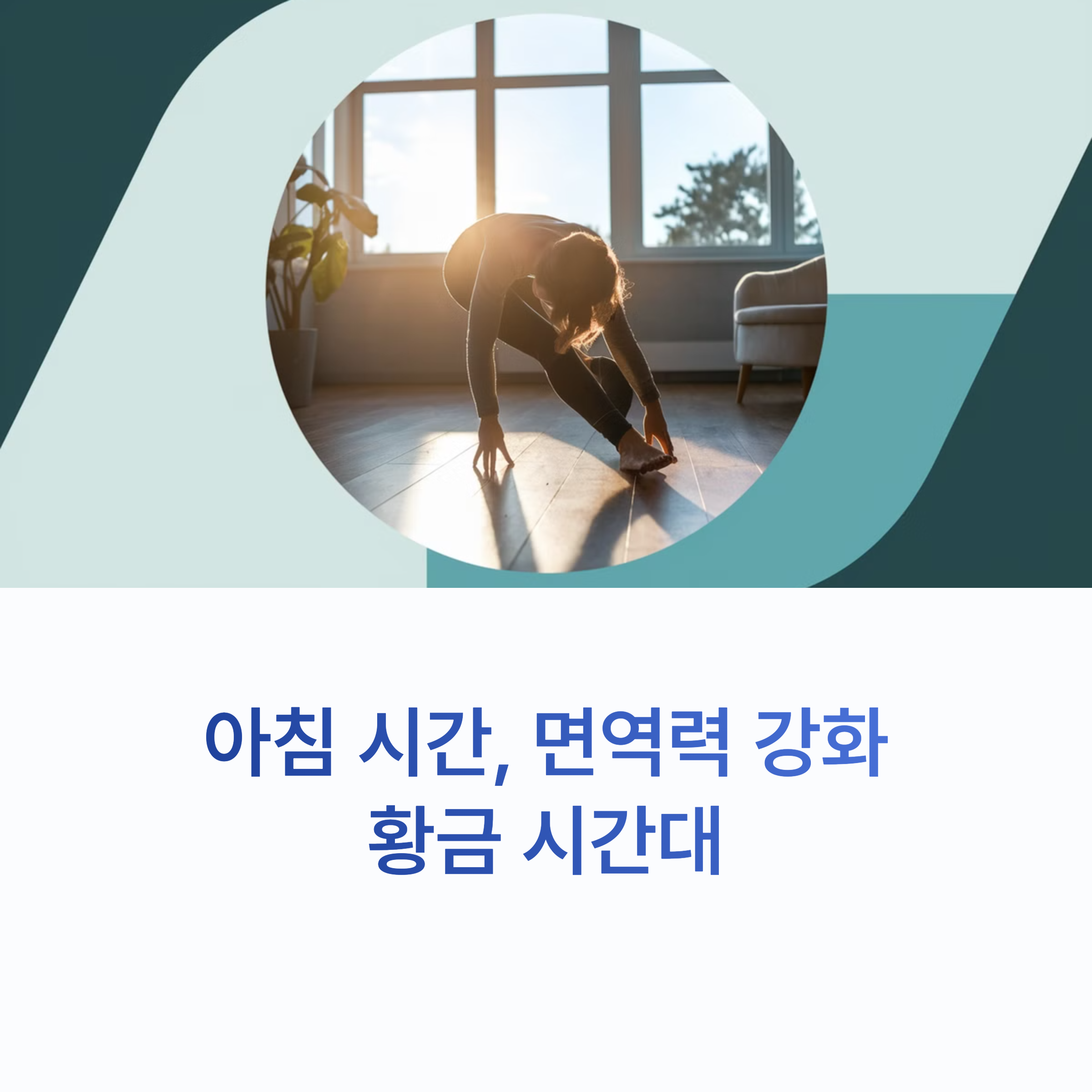 아침시간 면역력 황금시간