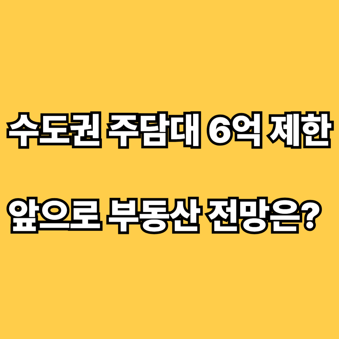 수도권 주택담보대출 6억 제한