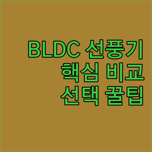 BLDC 선풍기 구매 가이드 핵심 비..