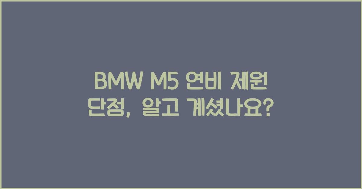 BMW M5 연비 제원 단점