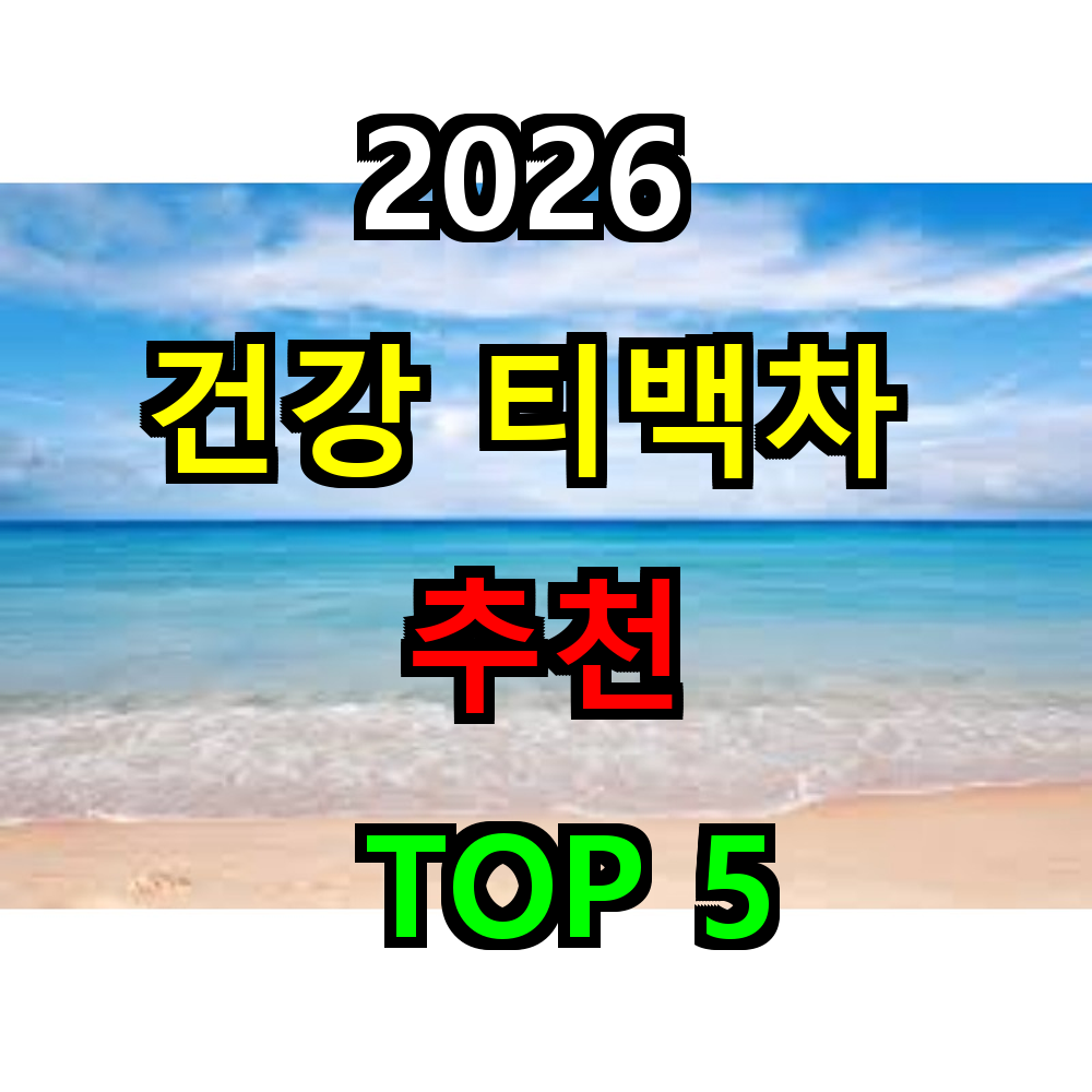 2026 건강 티백차 추천 TOP 5