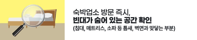 빈대 퇴치법