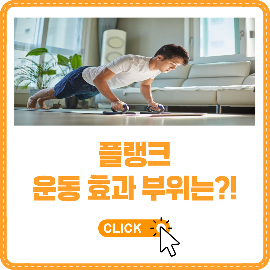 플랭크 운동 효과 부위