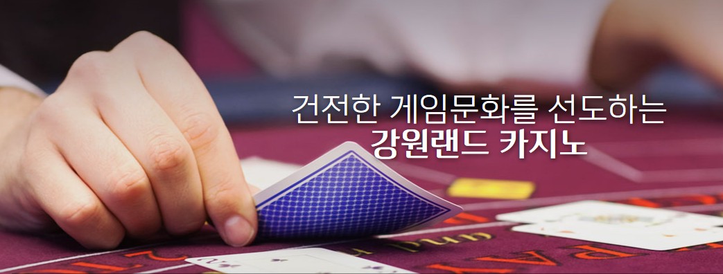 강원랜드 카지노 완벽가이드 ❘ 입장료&middot;영업시간&middot;출입제한&middot;초보자 팁까지 총정리 관련 사진