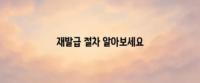 운전면허증 분실 후 재발급 받는 방법