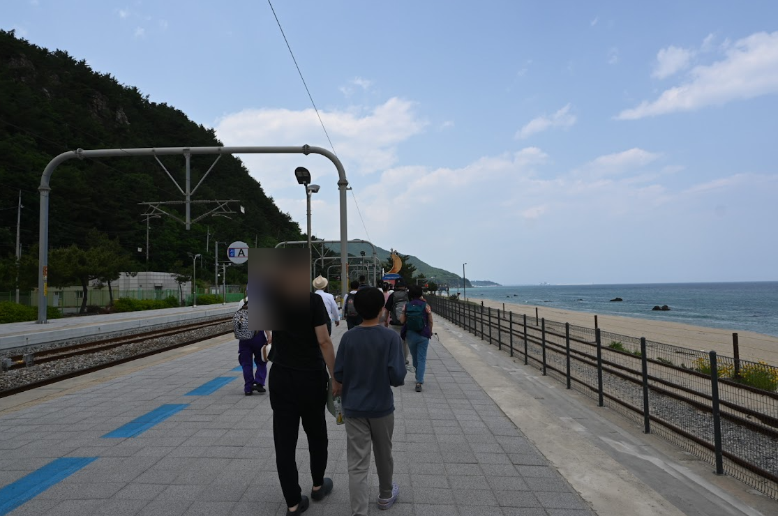 강릉 정동진 레일바이크 전동이라서 편하게 바다구경 할수 있어. 사진 4