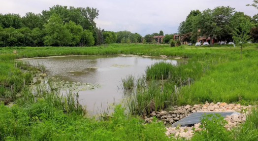 숨겨진 부동산 권리 리스크 - 경매 투자 시 반드시 확인해야 할 묵권 관리법 전문 분석 이미지