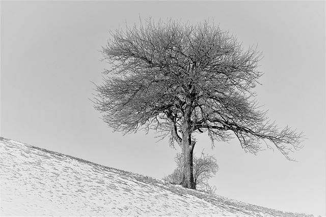 티아라 왕따 사건