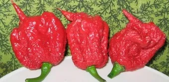 매운 라면 스코빌 지수 비교 신라면 열라면 불닭_26