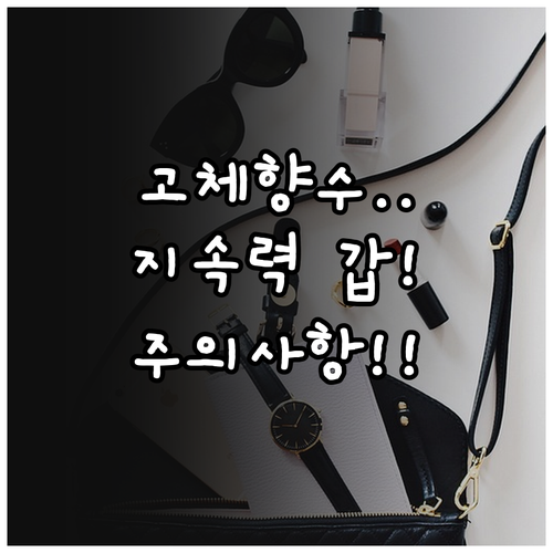 솔리드 퍼퓸 지속 시간 늘리는 방법과..