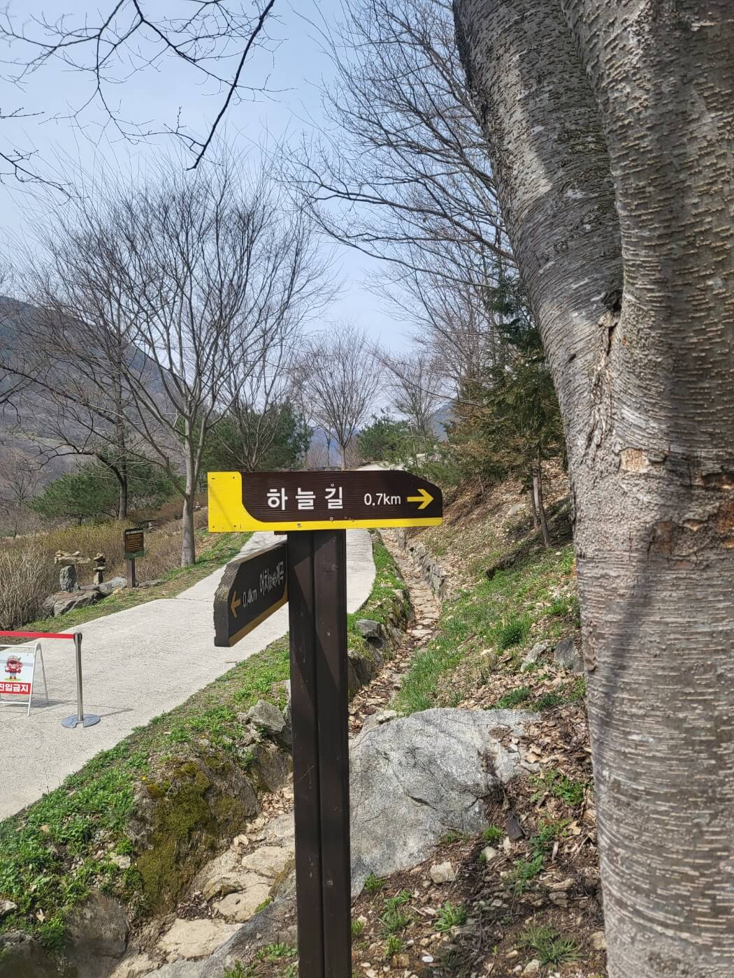 하늘길 가는 길2