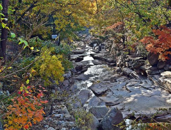 2025 북한산 단풍 절정 날짜 공개! 가을 등산 초보자 코스 &amp; 꿀팁