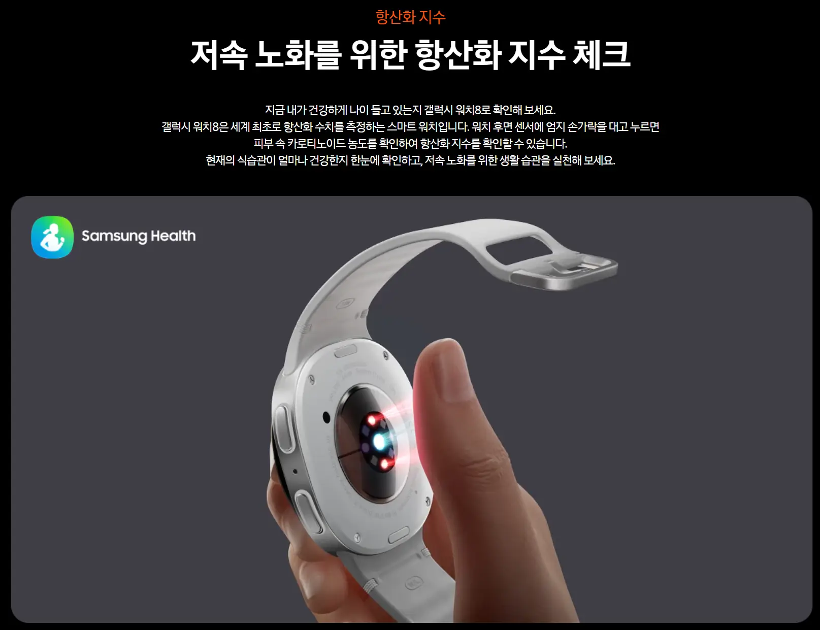 사진12